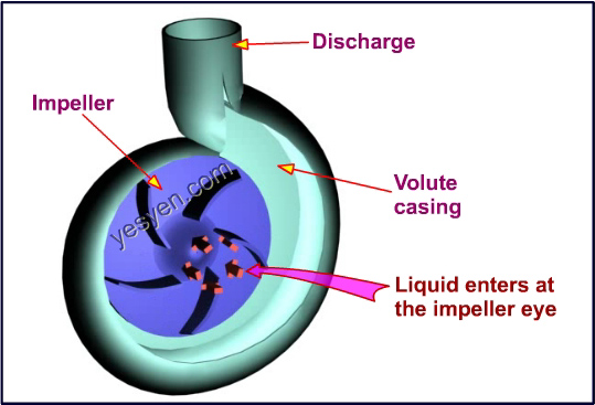 Water on sale pump principle