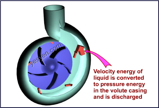 Centrifugal Pump Working Principle